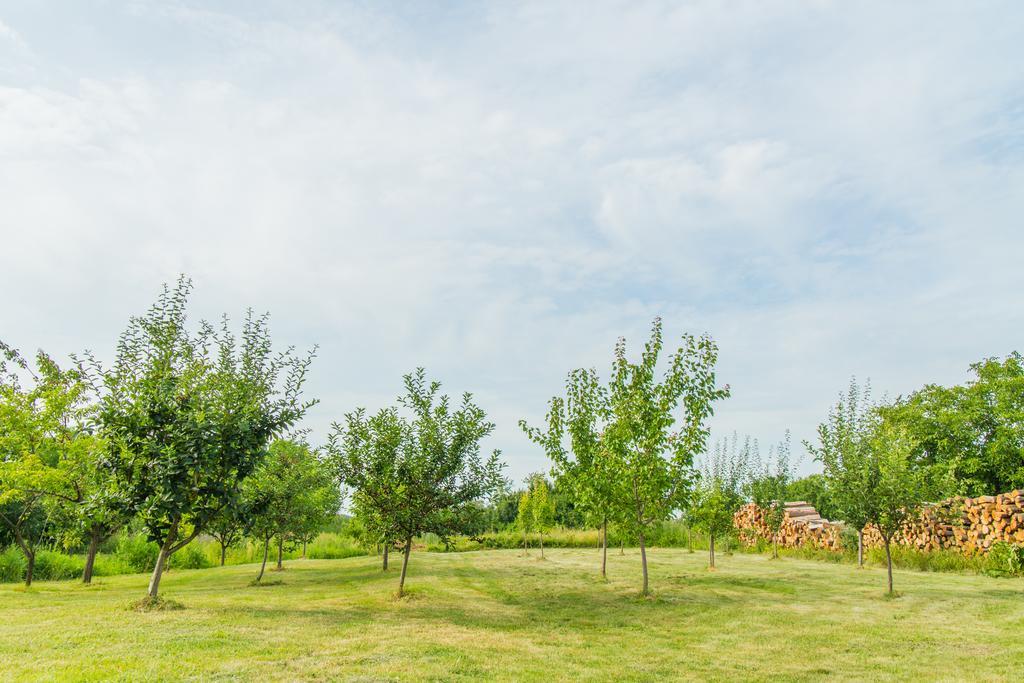 Garden Holiday Home Drenje  Dış mekan fotoğraf
